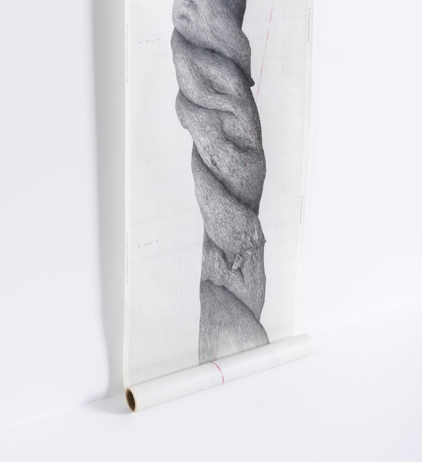 Am&eacute;lie Scotta