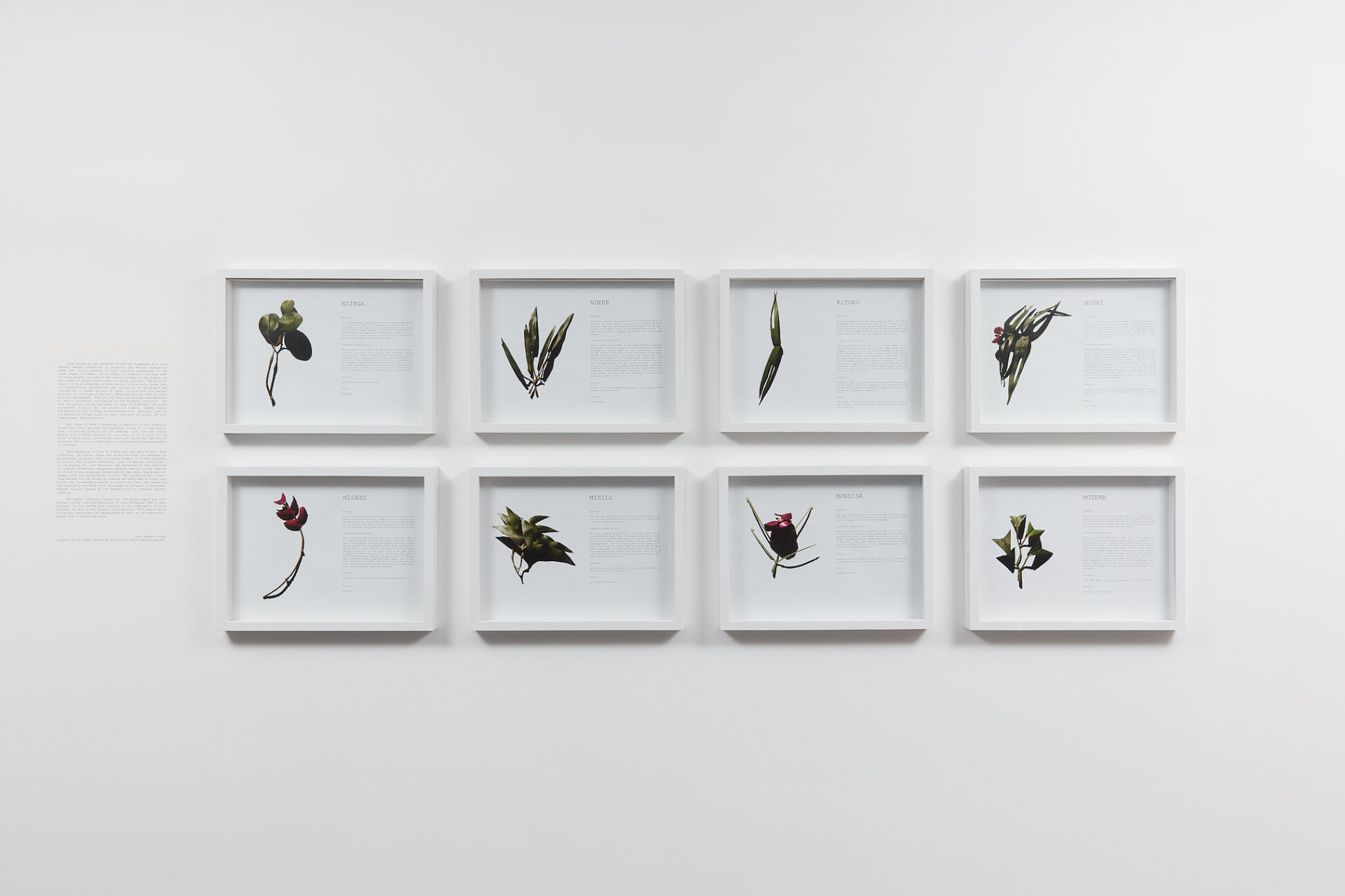 Anna Safiatou Tour&eacute;